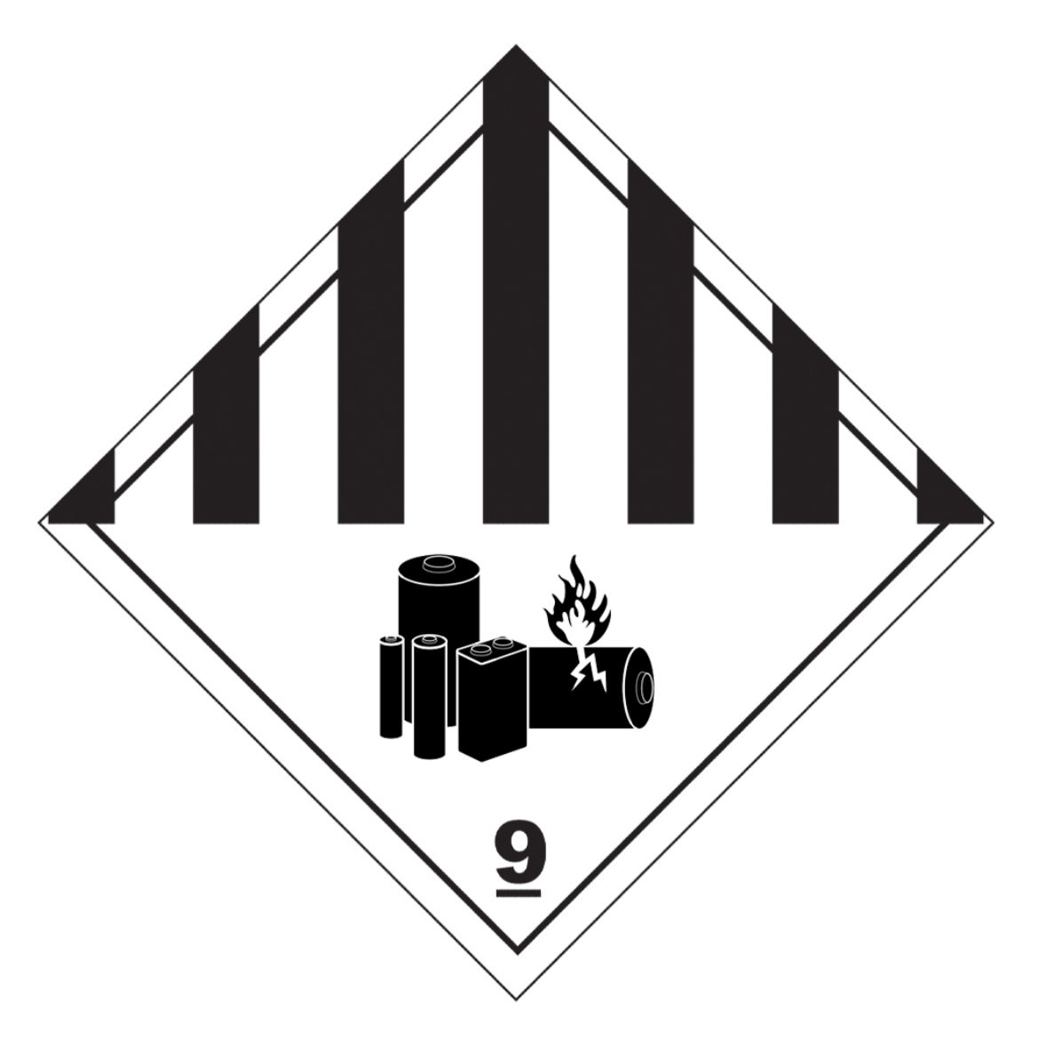 200003969_1.jpg