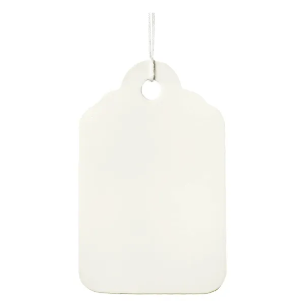 Tags - Blank Marking with Strings White 321052 1-1/4INx1-29/32IN #6 1000/BX